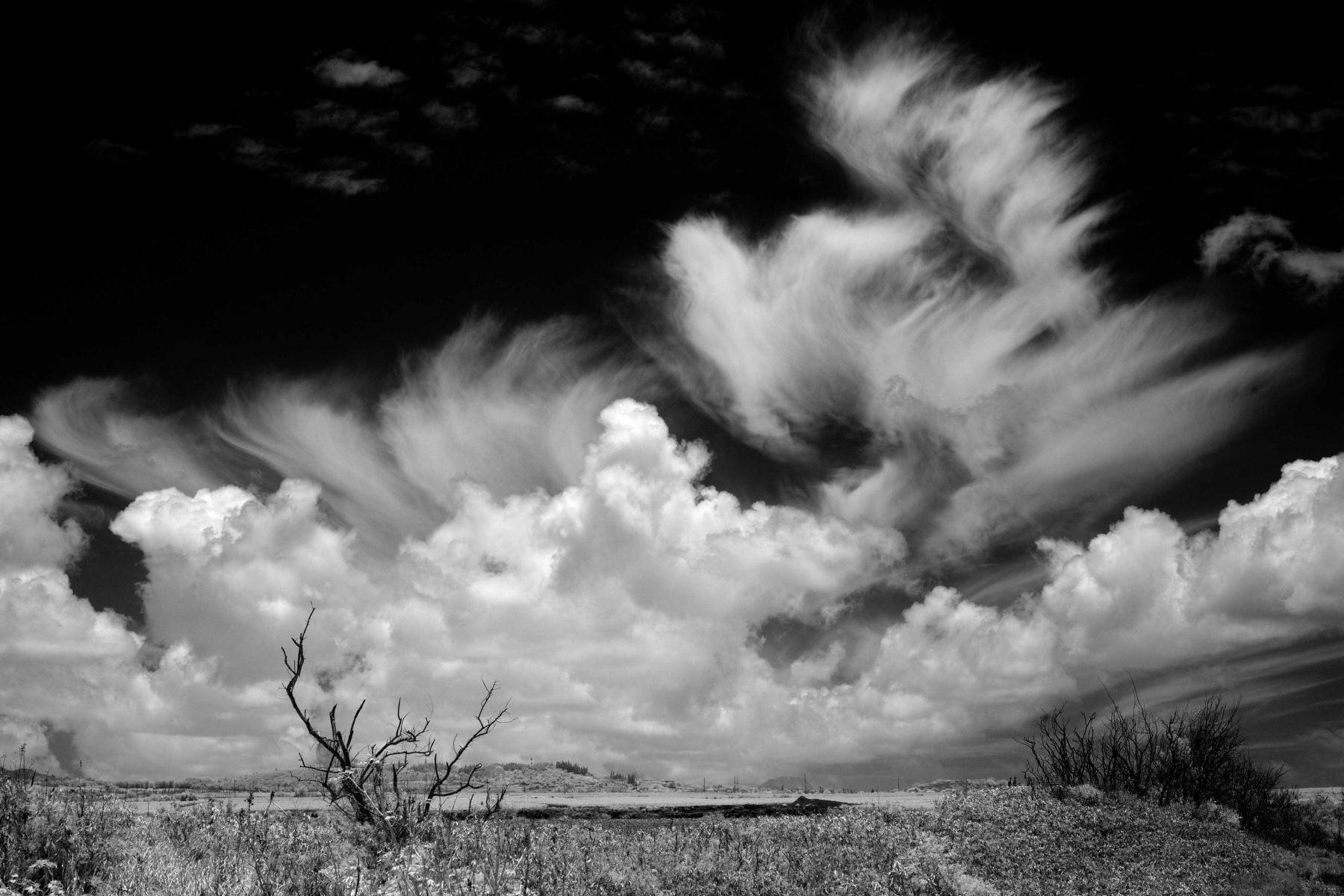 1cloudscape__kauai_sm_