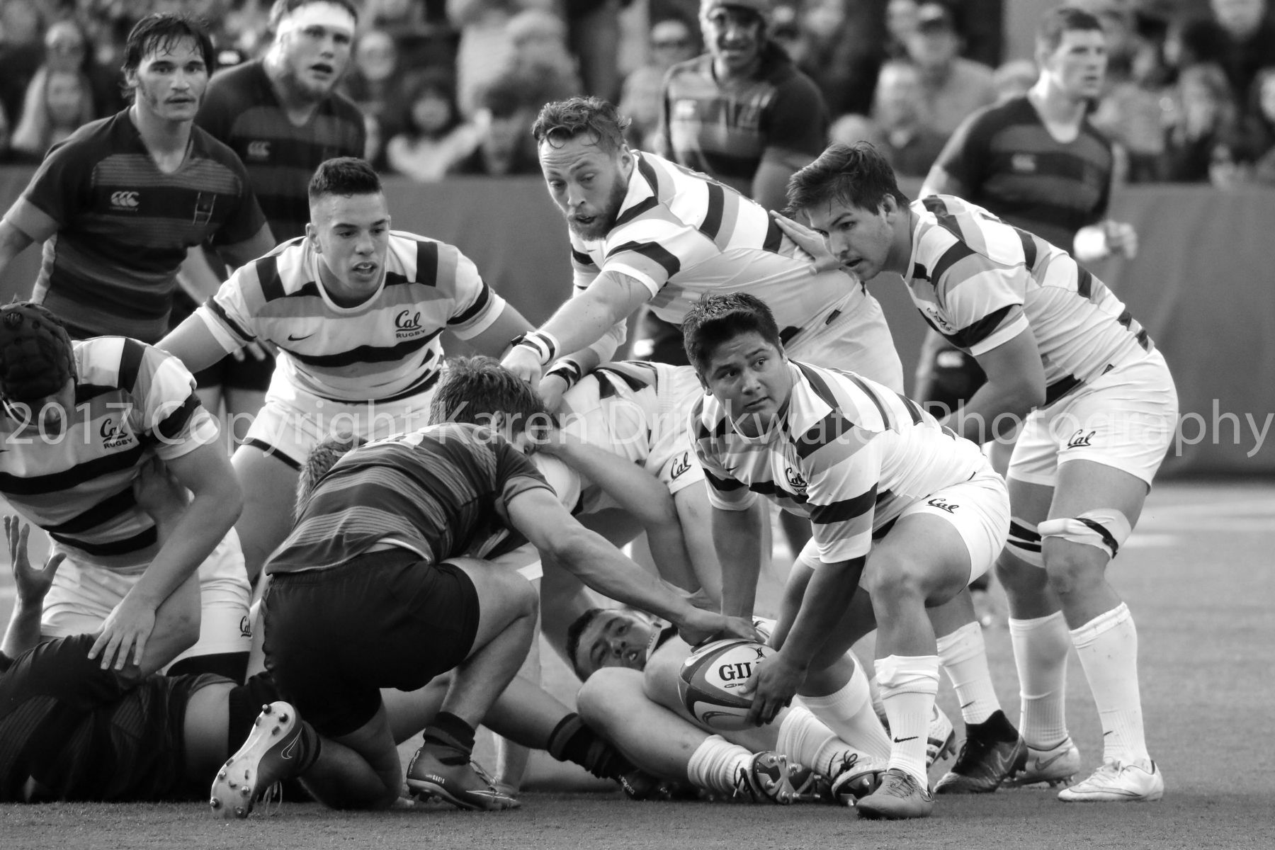 1sportsimages_karendrinkwater_38