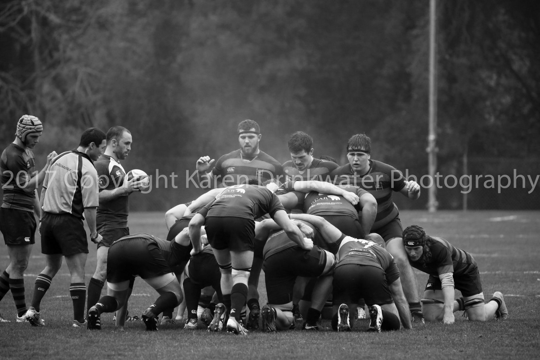 1sportsimages_karendrinkwater_17