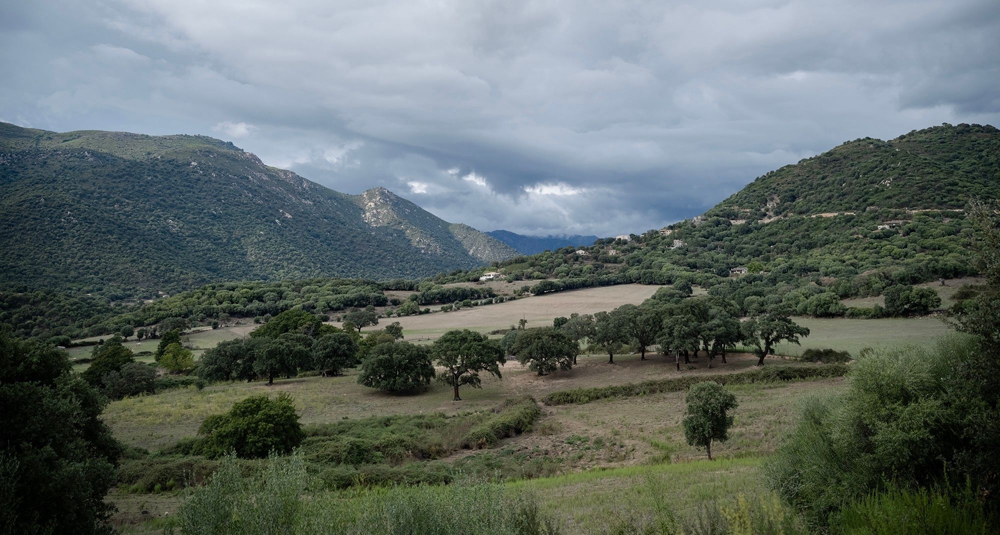 _DSF4577 Vista P.V. to Saterne copy.jpg