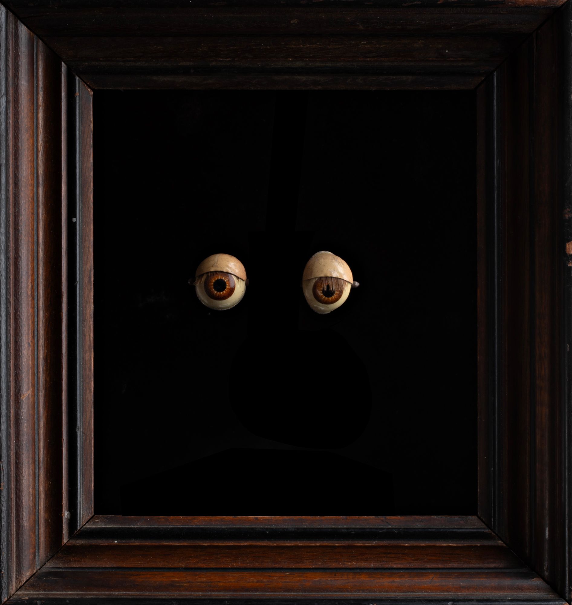 DSC05109 Eyes copy 2.jpg