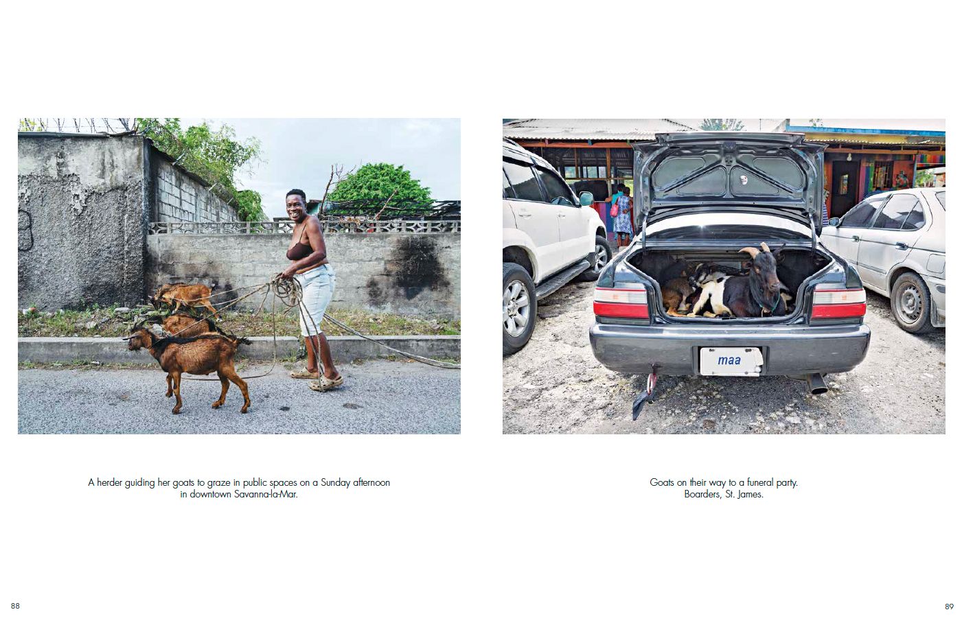 Screen Shot 2023-04-29 at 11.17.13 AM copy.jpg