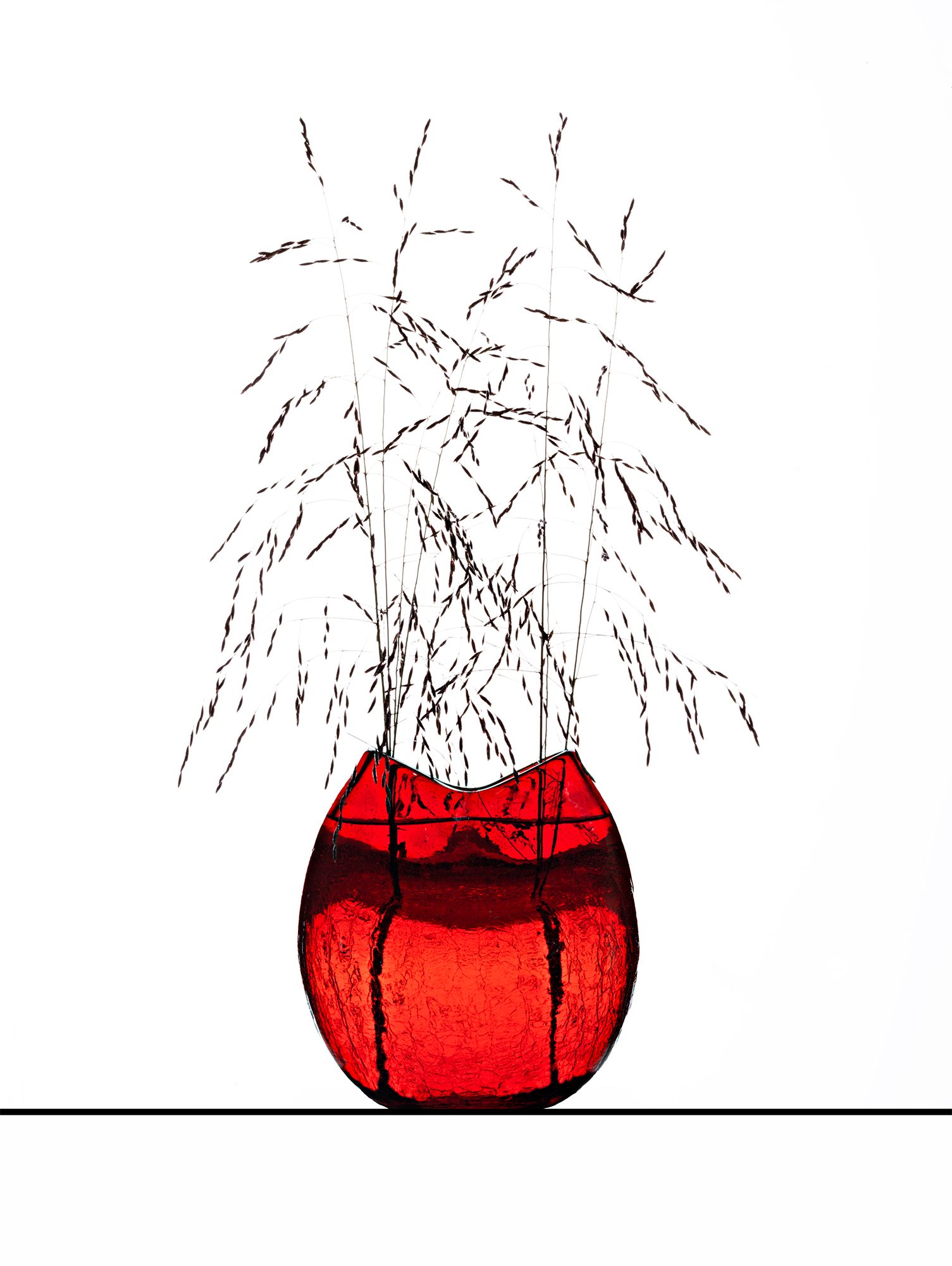 _DSF4072 Weed #6psd copy 2.jpg