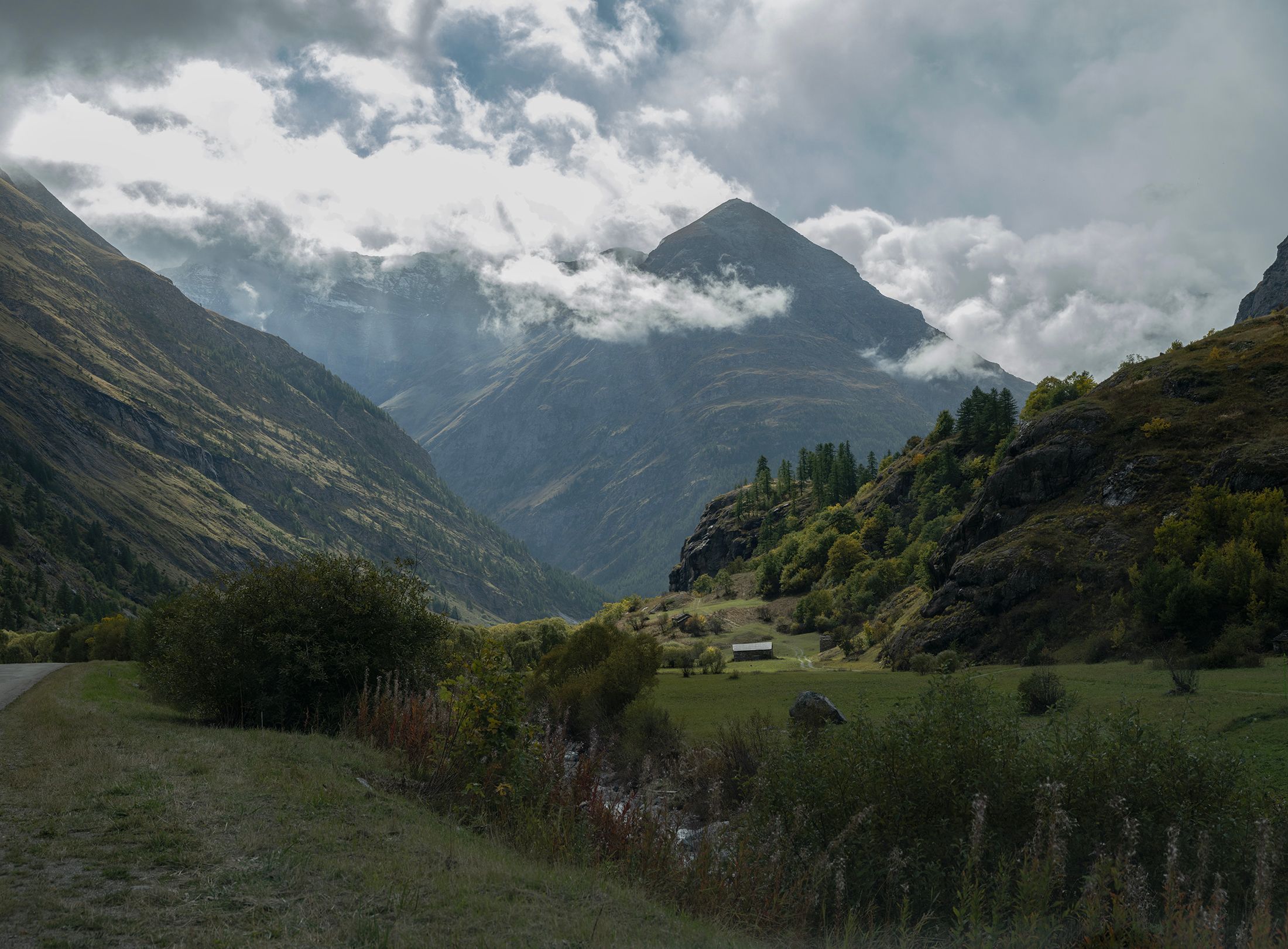 _DSF5051French Alps copy 2.jpg