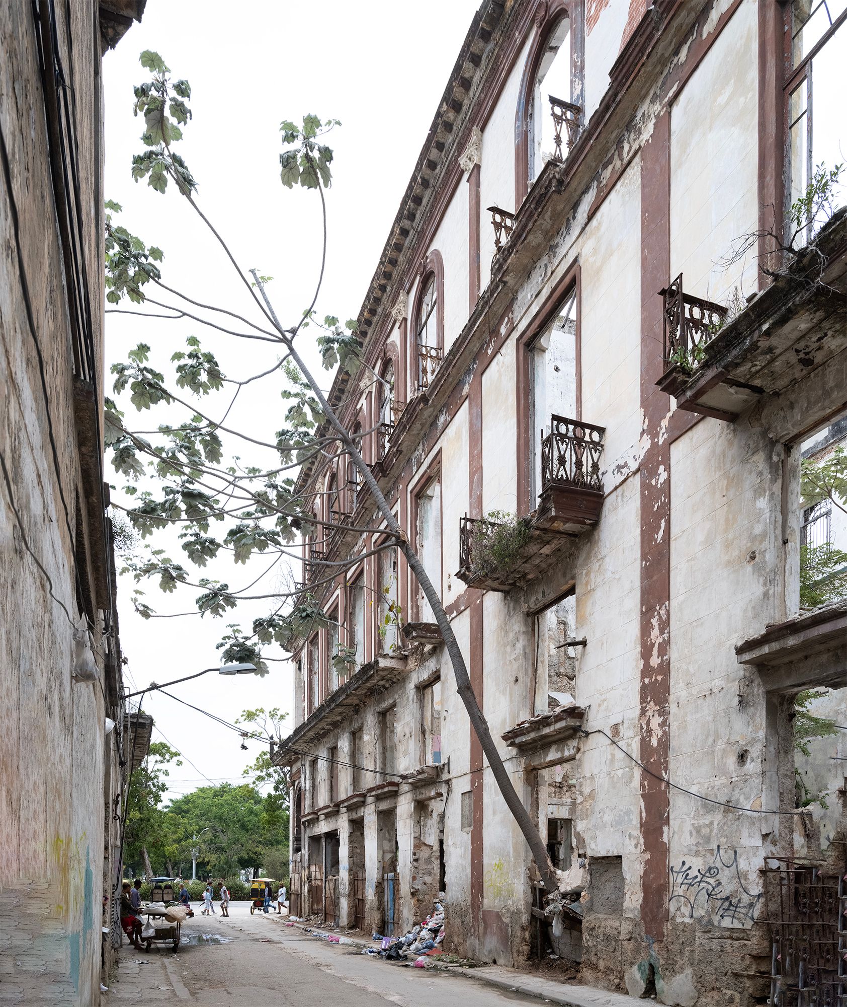 _DSF1111 The Tree copy 2.jpg