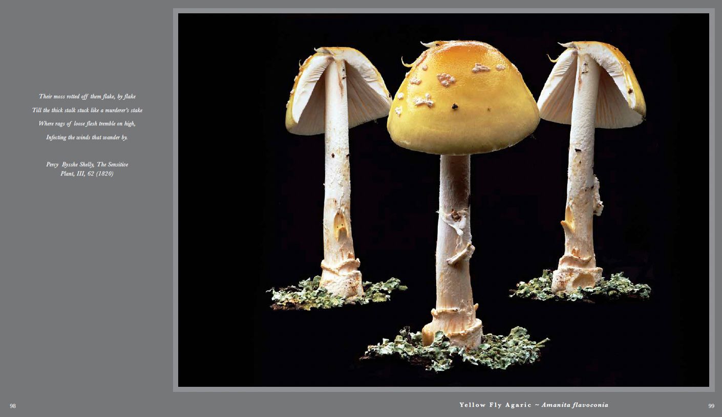 Screen Shot 2023-04-29 at 10.38.03 AM copy.jpg