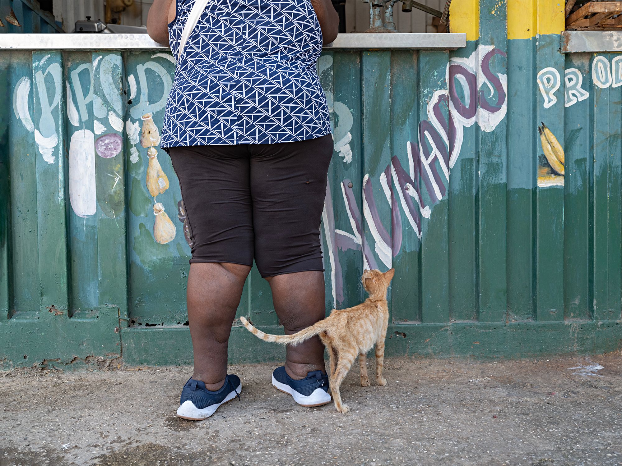 _DSF2488 Legs & Cat psd 2 copy 2.jpg