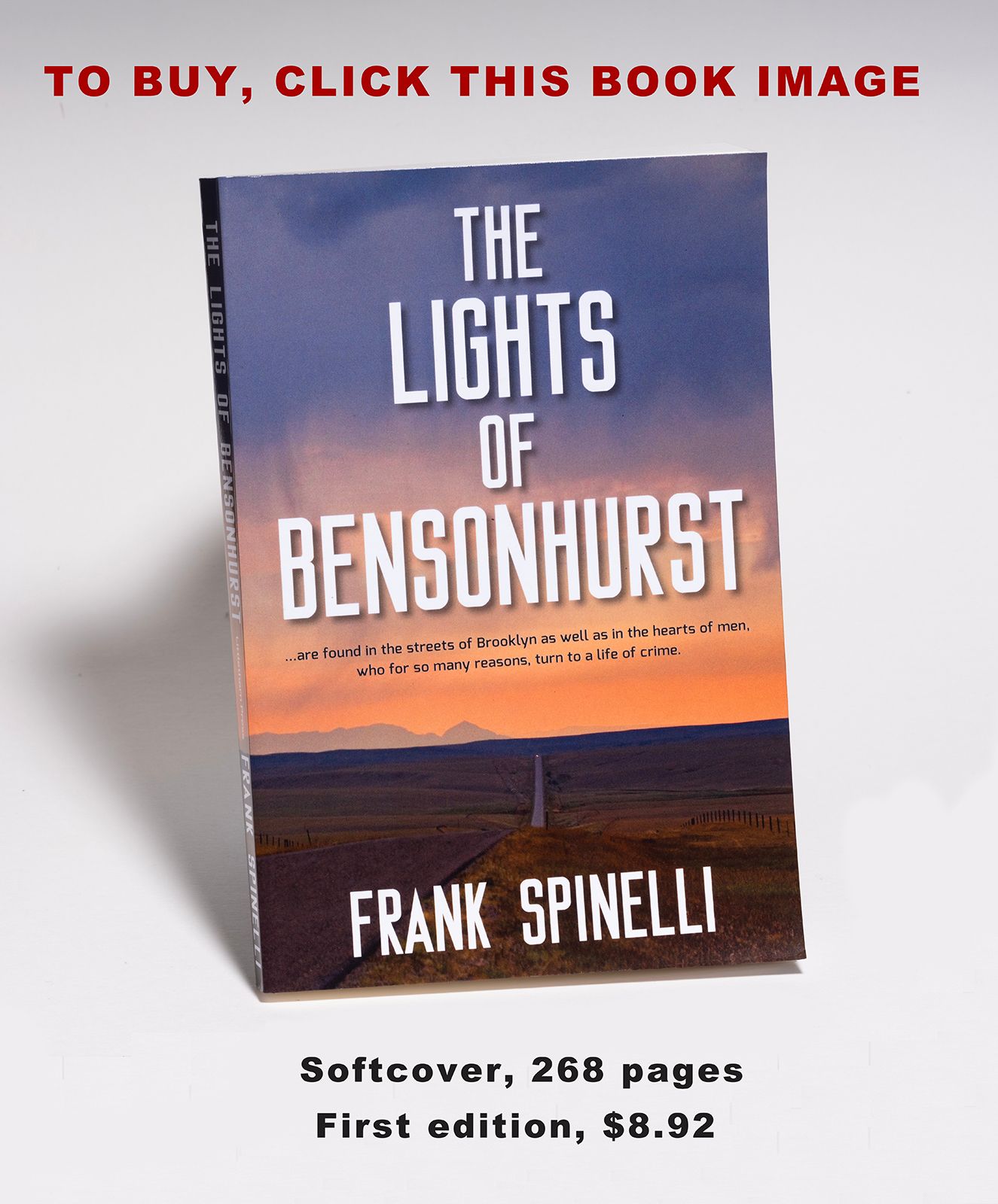 _DSF1193 Bensonhurst_Homepage.jpg