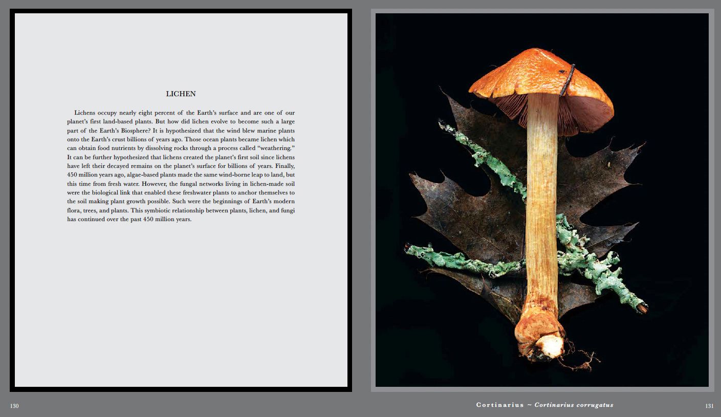 Screen Shot 2023-04-29 at 10.38.38 AM copy.jpg