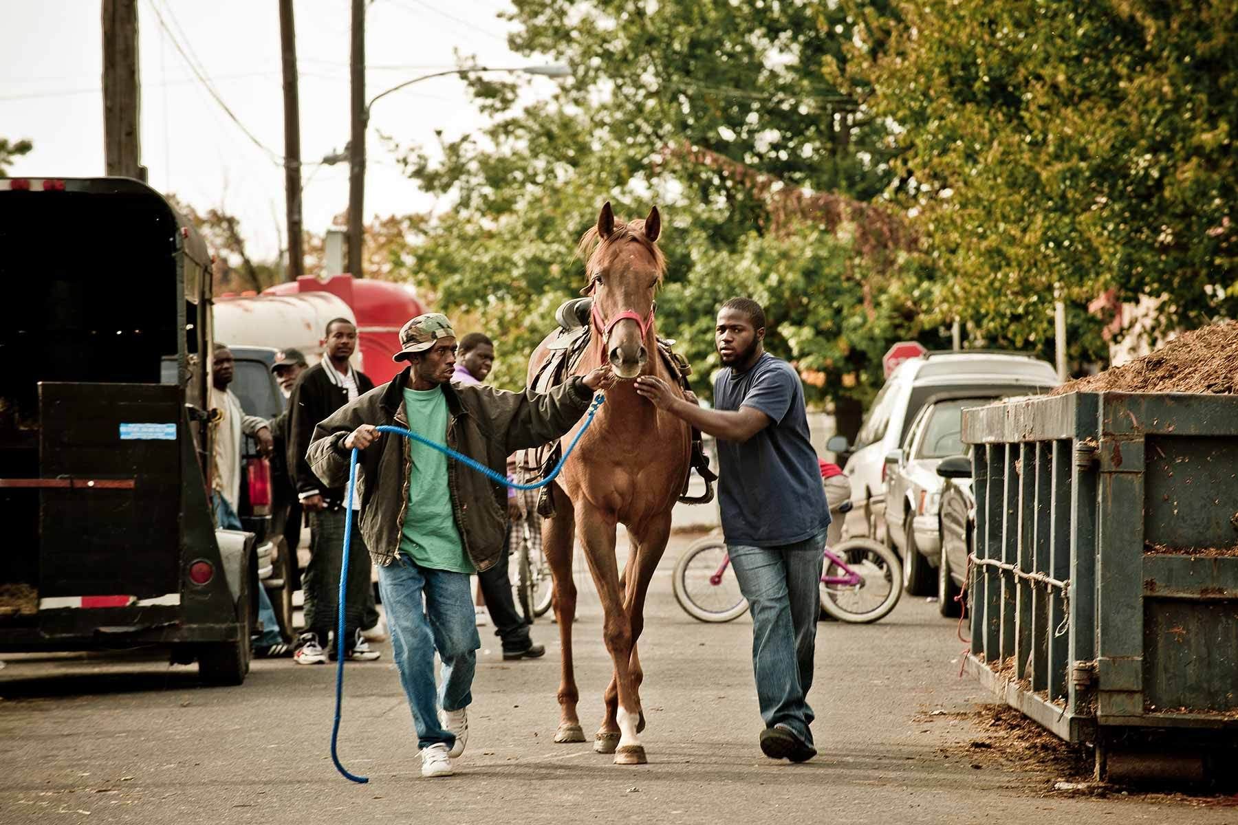 Horse Training in Street