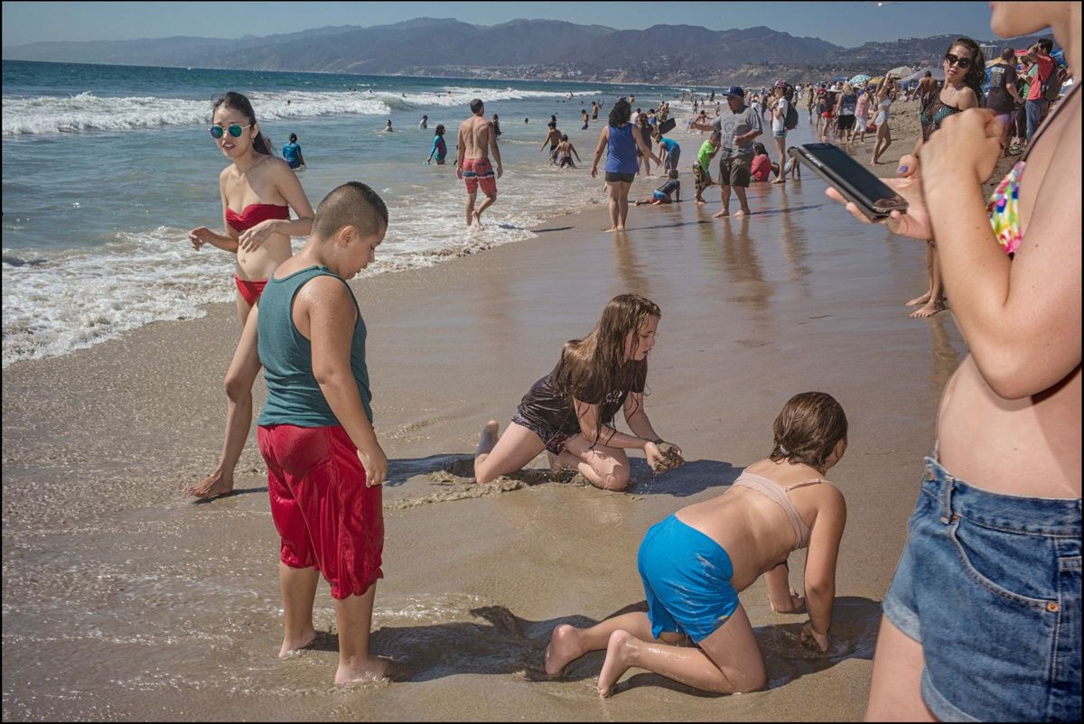 © SARAH LEE - VENICE, CALIFORNIA. SEPTEMBER 2015. 1sm2.jpg