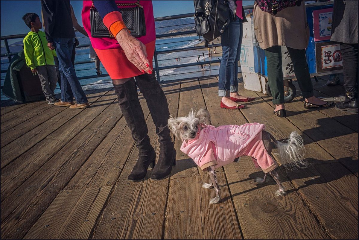 © SARAH LEE - LOS ANGELES, 2015. 1venice33.jpg