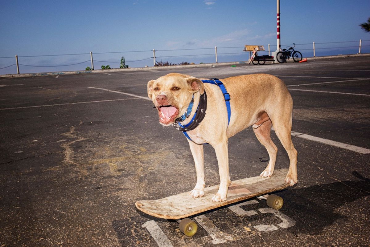 © SARHA LEE - SANTA MONICA, LOS ANGELES. JULY 2016. 1jojo1.jpg