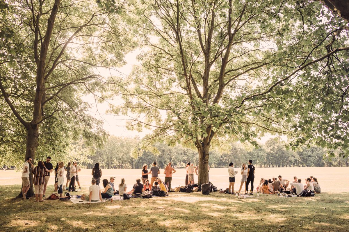 © SARAH LEE - REGENT'S PARK regent's park heat1.jpg