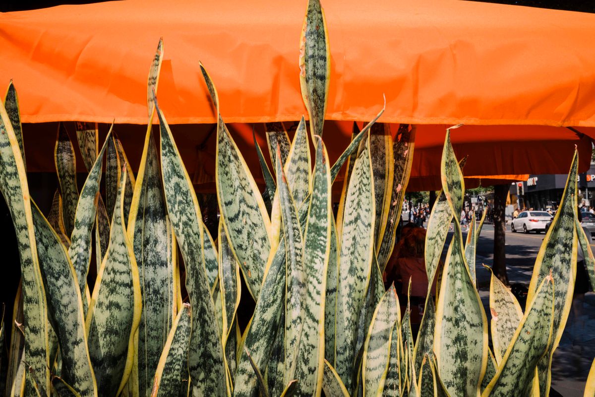 © SARAH LEE - SANTA MONICA, LOS ANGELES. SEPTEMBER 2018. west 02.jpg