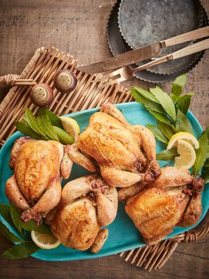 Photo May 09 2023, 7 21 45 PM.jpg