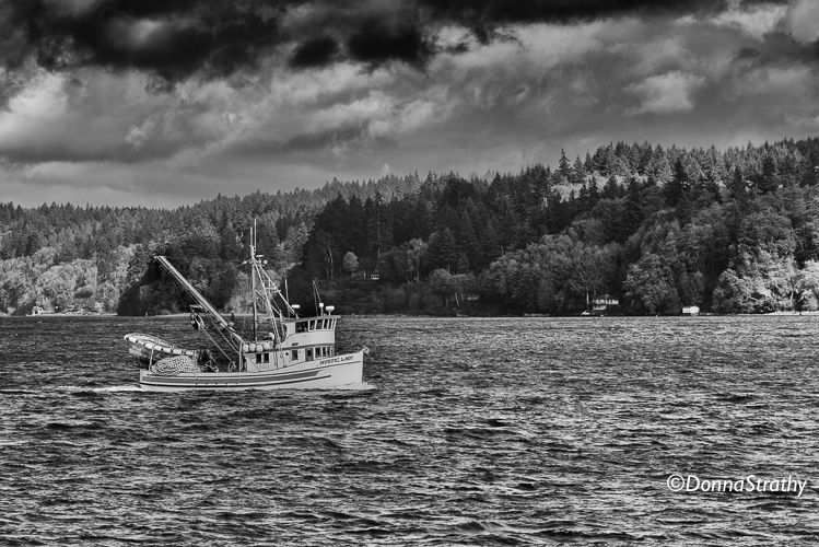 1ds20131028_0781_edit