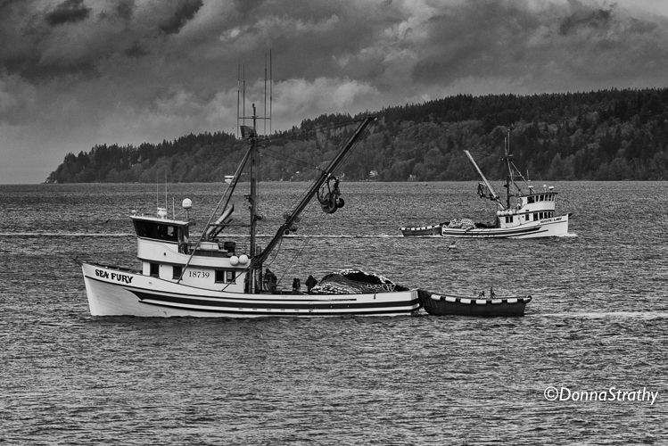 1ds20131106_0896_edit