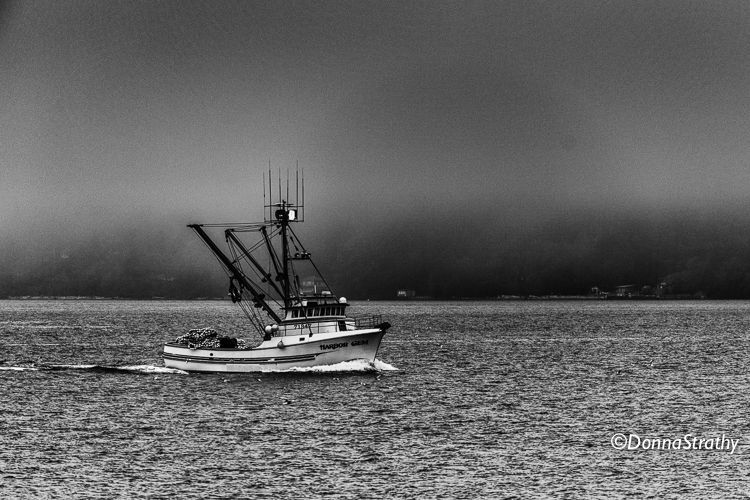 1ds20131023_0729_edit_edit_2