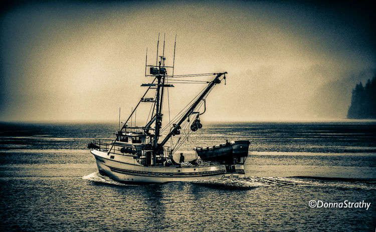 1ds20131027_0753_edit_edit_edit_edit_5