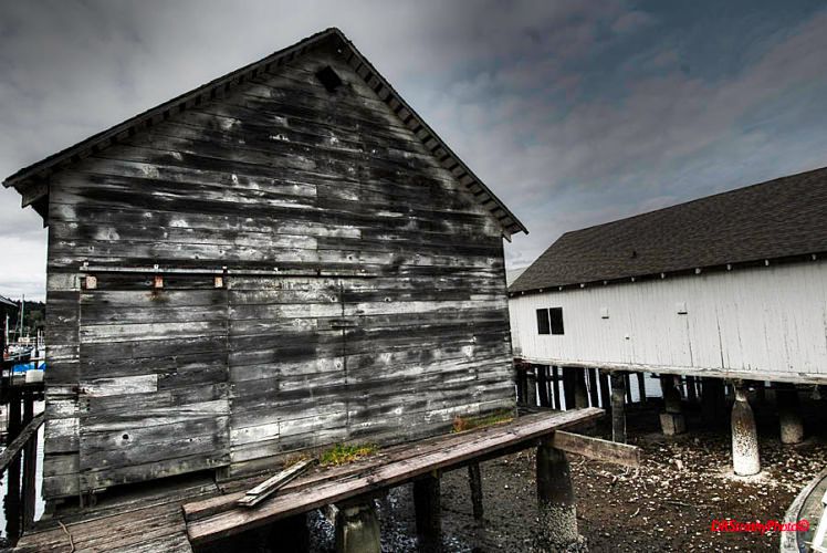 1preview_watermark_creator16