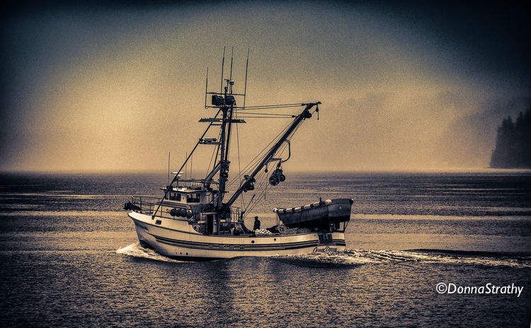 1ds20131027_0753_edit_edit_edit_edit_3