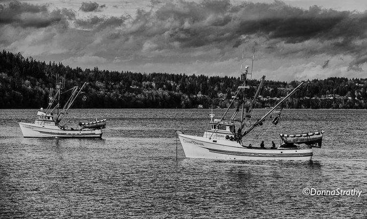 1ds20131106_0920_edit