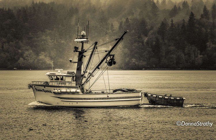 1ds20131027_0749_edit_3