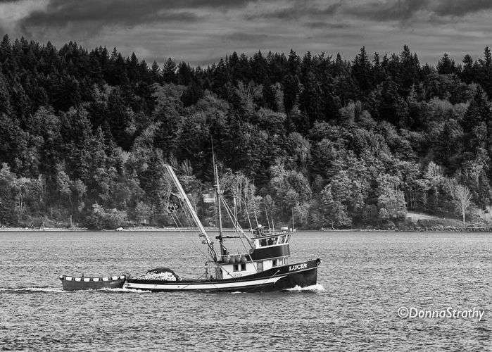 1ds20131031_0810_edit