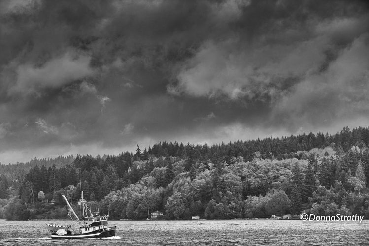 1ds20131028_0773_edit