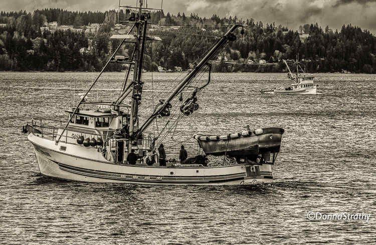 1ds20131106_0877_edit