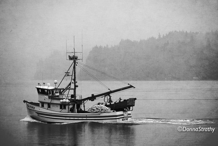 1ds20131027_0742_4_edit