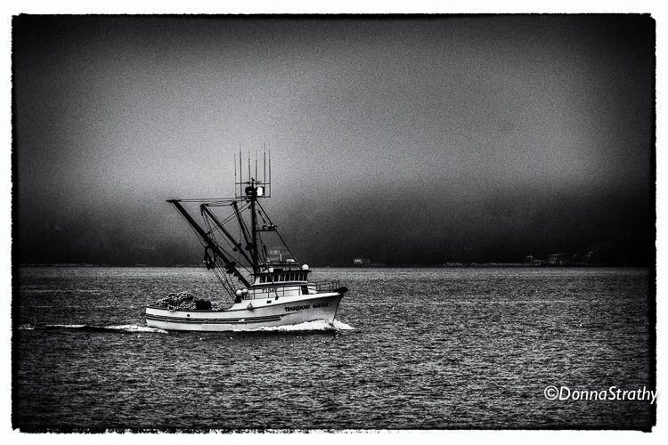 1ds20131023_0729_edit_edit