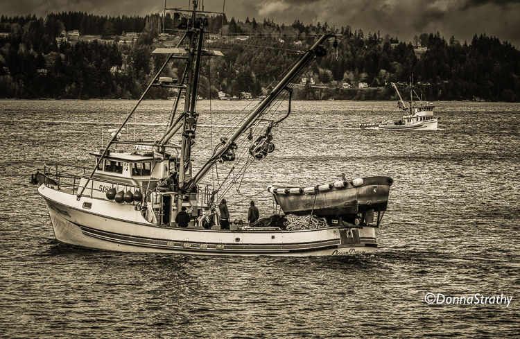 1ds20131106_0877_edit_3