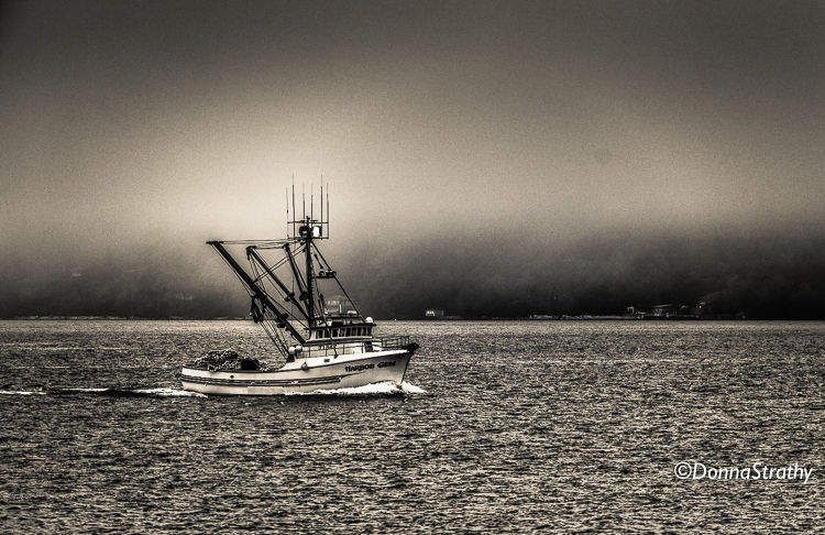 1ds20131023_0729_edit