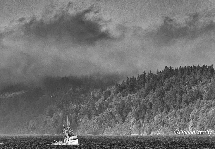 1ds20131023_0714_edit_edit