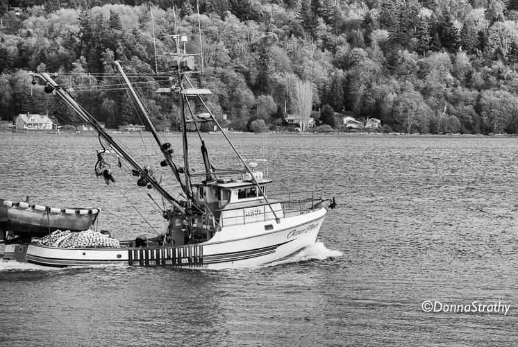 1ds20131106_0855_edit