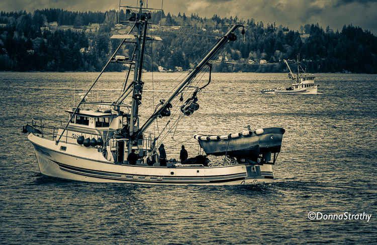 1ds20131106_0877_edit_edit