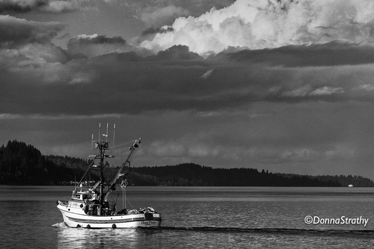 1ds20131104_0852_edit