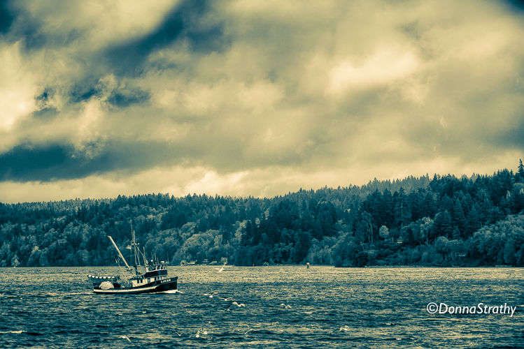 1ds20131028_0769_edit_2