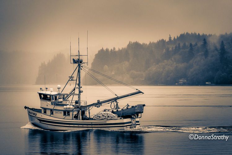 1ds20131027_0742_edit