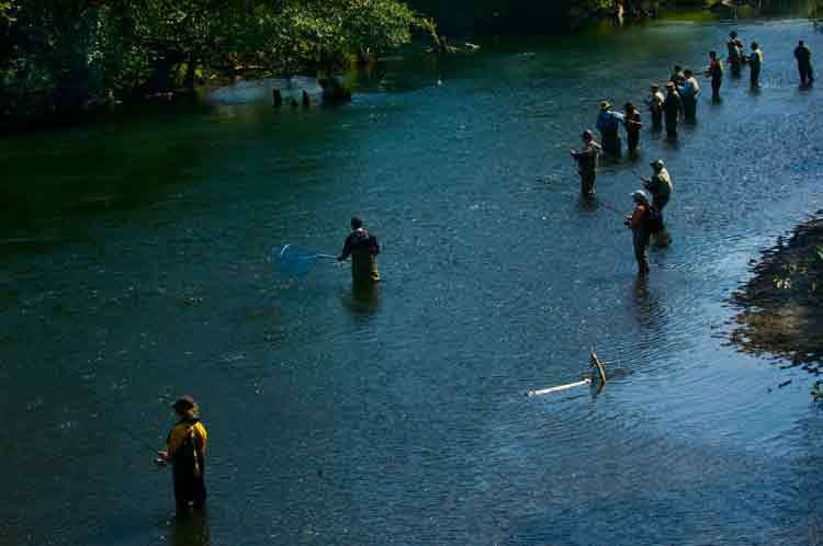 1strathy_090814_4492_a