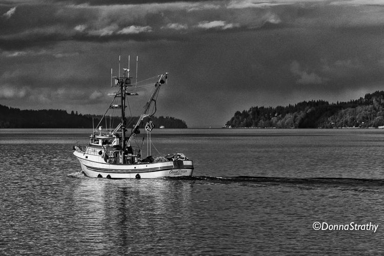 1ds20131104_0847_edit_edit