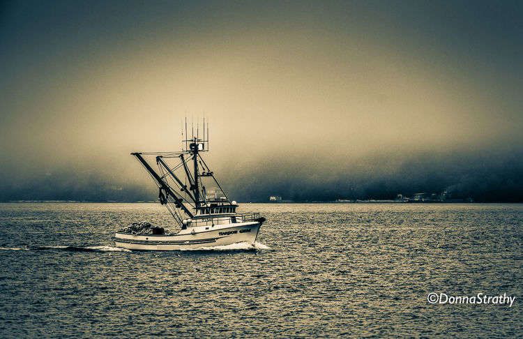 1ds20131023_0729_edit_2