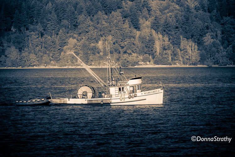 1ds20131023_0707_edit_edit_3