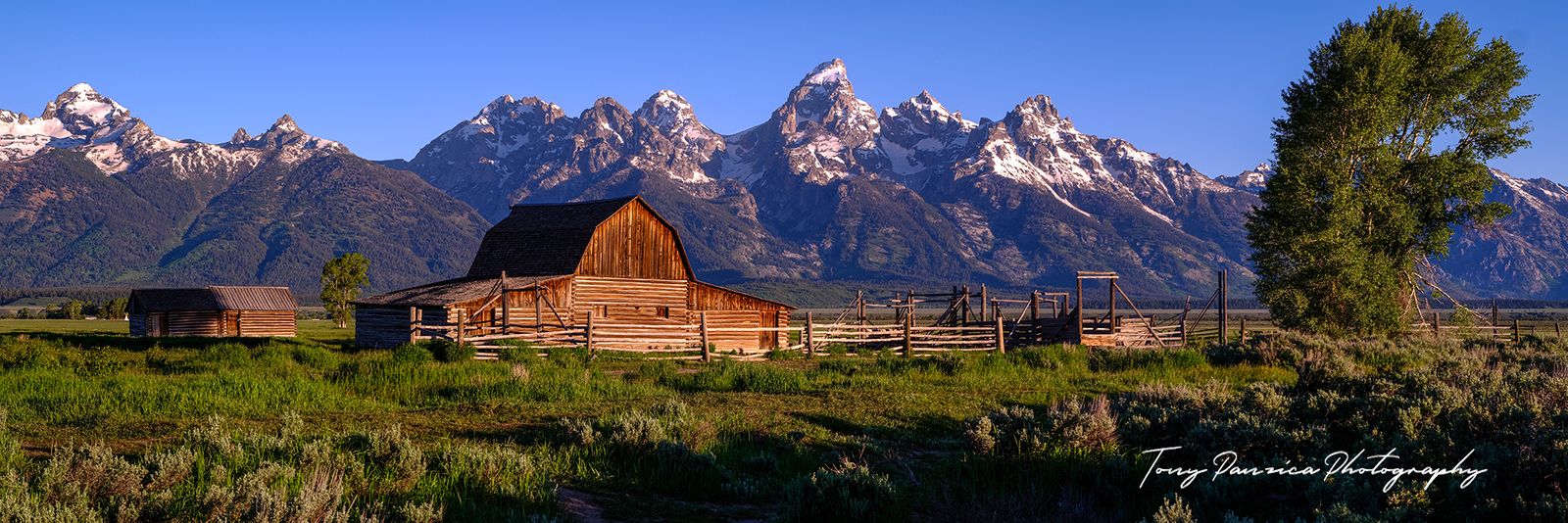 The Mormon Row Moulton Barn dwarfed by the Tetons. The Moulton Barn