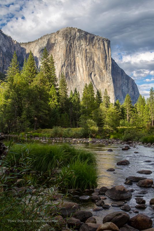 Mid Summer at Valley View looking up at el Capitan El Capitan Summer