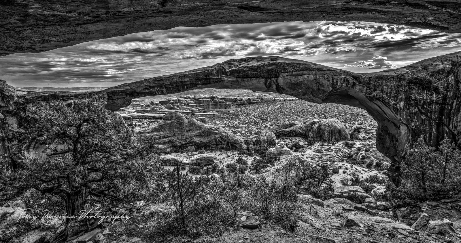 Landscape Arch1 40.25 x 21.25 BW.jpg