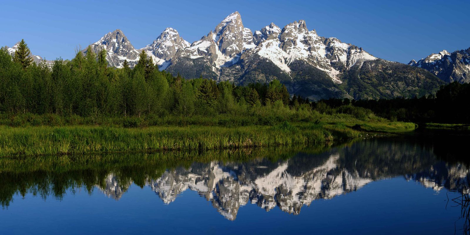 The Morning Stillness