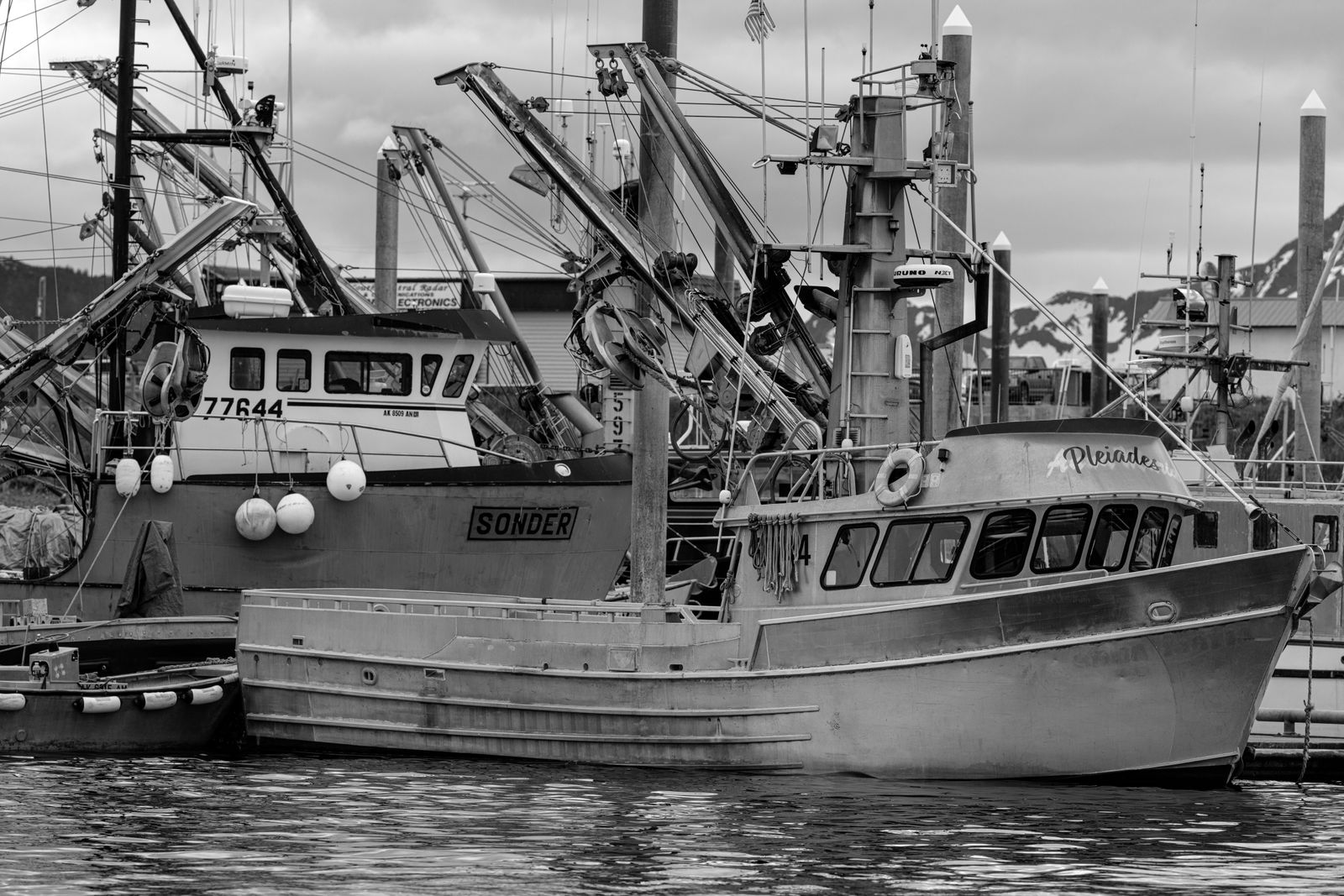 Homer Alaksa Harbor 30x20 copy.jpg